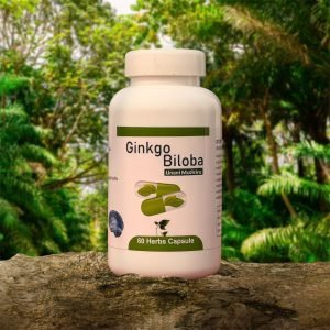 Ginkgo Biloba Product